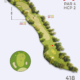 Loch 14 – Golf-Club Bad Orb Jossgrund